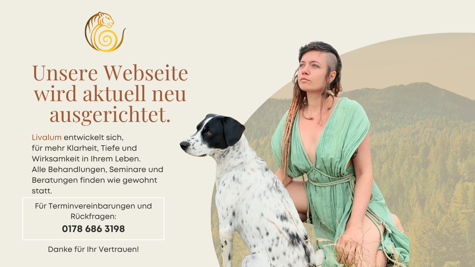 Website im Aufbau